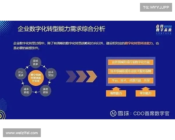 理查德的领导力:从普通员工到行业领袖的转变之路(理查德结构模式中理查德认为的四个步骤) 理查德的领导力:从普通员工到行业领袖的转变之路(理查德结构模式中理查德认为的四个步骤)